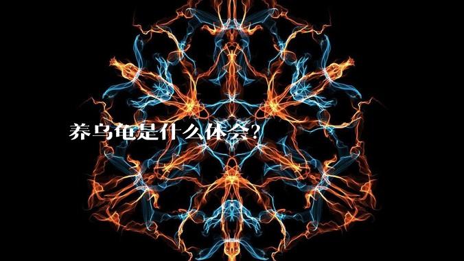 养乌龟是什么体会？