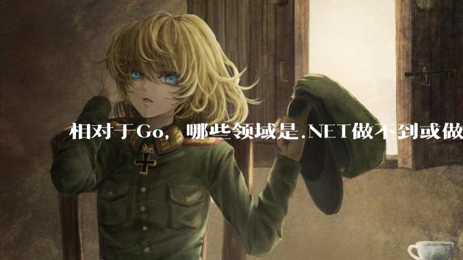 相对于Go，哪些领域是.NET做不到或做不好的?