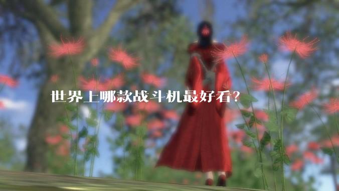 世界上哪款战斗机最好看？