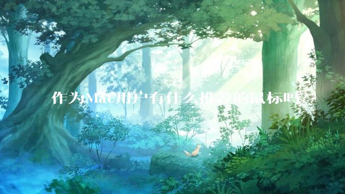 作为Mac用户有什么推荐的鼠标吗？