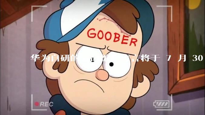 华为自研的仓颉编程语言将于 7 月 30 日开源，这款语言将如何影响未来的开发趋势？