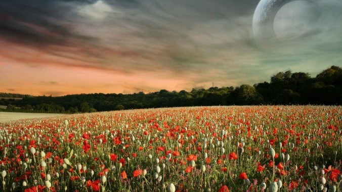 媒体曝光有学生吸食打火机气体成瘾，打火机气体中有哪些成分？吸食会对身体有怎样的伤害？